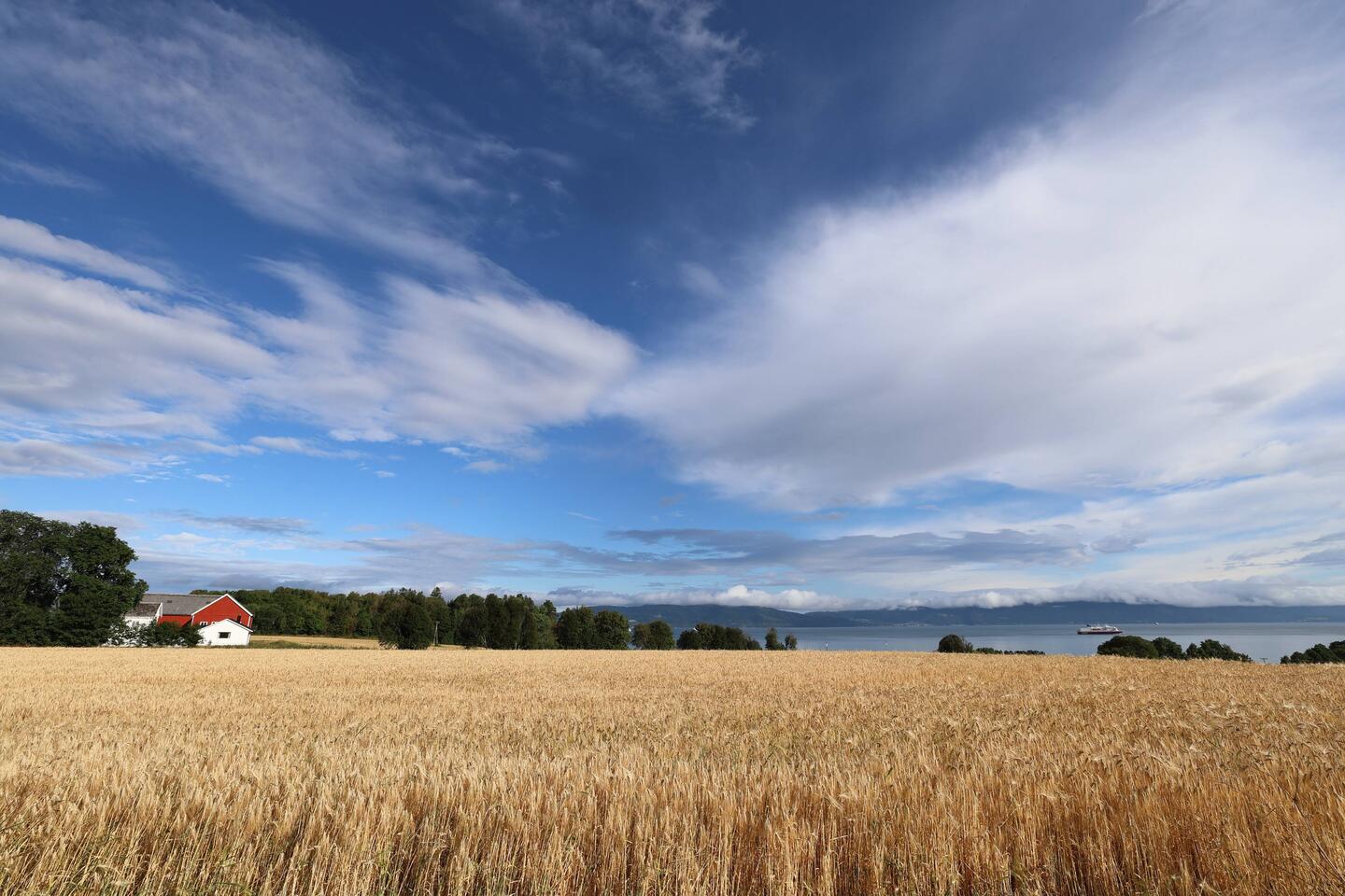 warten auf den Bus mit schöner Aussicht