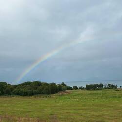 Einer von vielen 🌈 heute