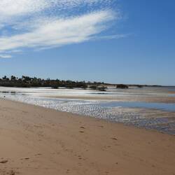 Low tide at the beach in front of our caravan park