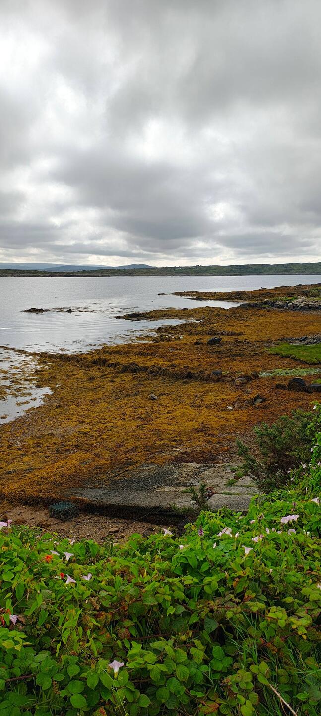 Blick auf die Bucht von Roundstone, Connemara