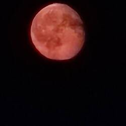 Blutmond