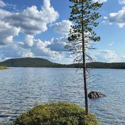 Ernste Frage: Warum ist nie Platz für zwei?