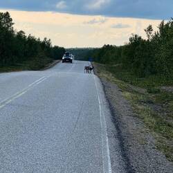 Platz da, hier kommt der Landvogt.