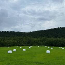 Eine bäuerliche Kunstgalerie, wenn man nur will...