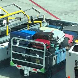 Unser Koffer mit dem gelben Kuhsufkleber ist schon mal beim richtigen Flugzeug.