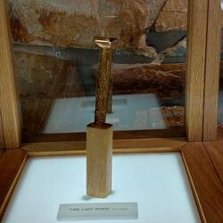 The last (goldene) Spike (Replika).
