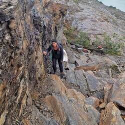 Warum bin ich so fröhlich 🎶