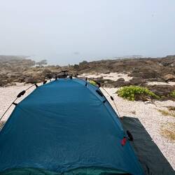 Morgendliche Nebelstimmung