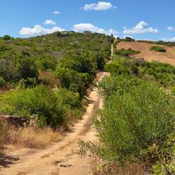 Ja, das fahren wir noch