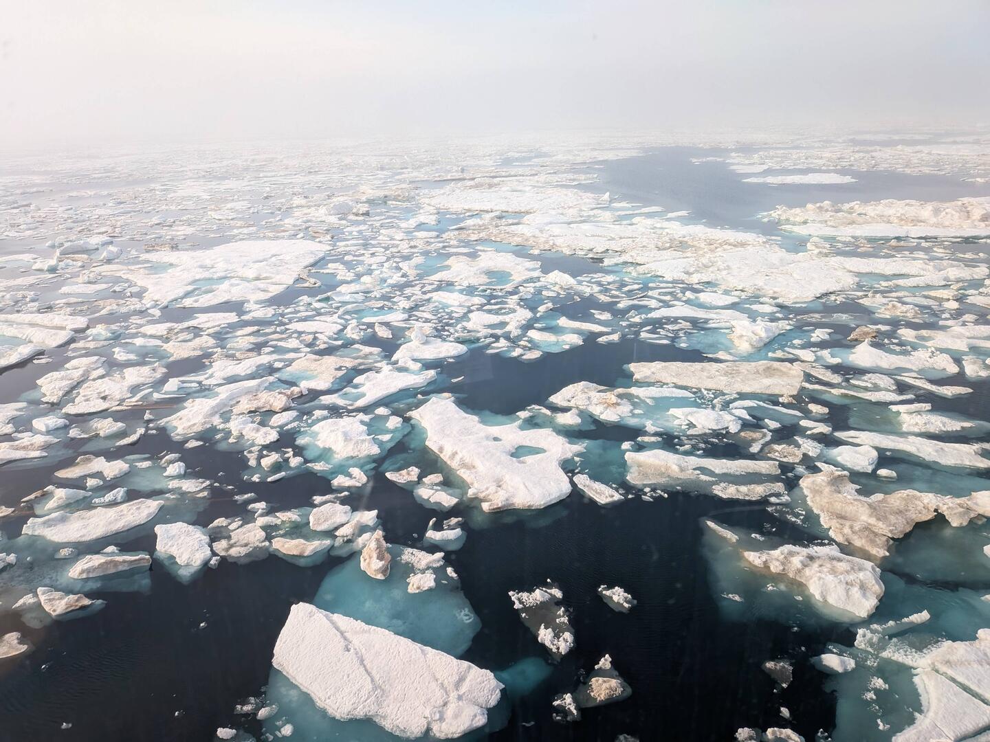 The sea ice around the ship.