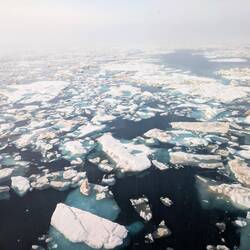 The sea ice around the ship.
