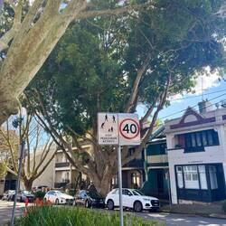 Ook de oude mensen zijn inbegrepen op de borden :)