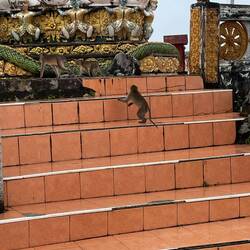 They were a bit aggressive