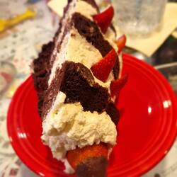 French Chocolate Torte
