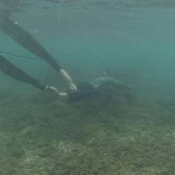 Keaton mit gespanntem Speer auf der Lauer -Sicht an diesem Tag aufgrund von viel Regen sehr schlecht