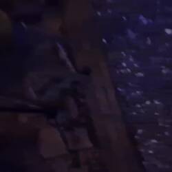 Happy Birthday Till!