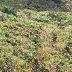 So musste man da Langlaufen und die war jetzt net klein! 🤣🤣