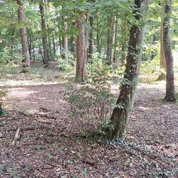 De camping had dit oorspronkelijk als onze plek aangewezen