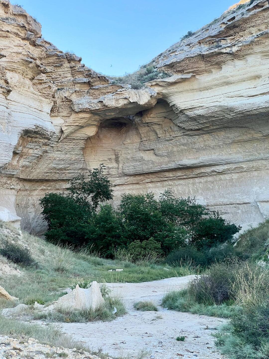 Nel canyon acqua = piante, ma anche centinaia di zanzare aggressive🦟