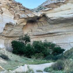 Nel canyon acqua = piante, ma anche centinaia di zanzare aggressive🦟