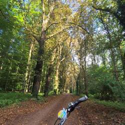 Radweg nach Steinhude