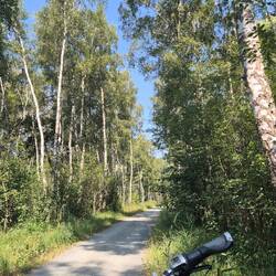 Radweg um's Steinhuder Meer