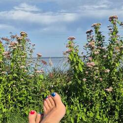 Frühstück mit Aussicht