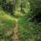 So ging es kilometerlang verwunschen durch den Wald