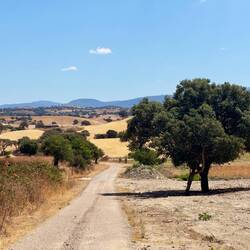 Vorbei an trockenem Land
