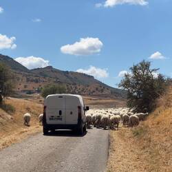 Moderne Hirten brauchen ein Auto