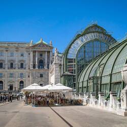 Hofburg Palace & Schmetterlinghaus 🦋