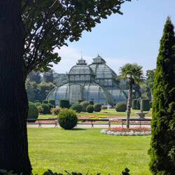 The Palm House @ Schonbrunn