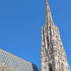 Saint Stephen's Cathedral in the old town ⛪
