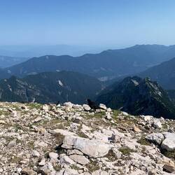Alpendohlen wollen Krümel abstauben