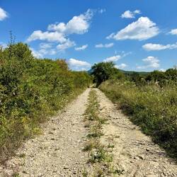 das letzte Teilstück bis nach Inlăceni
