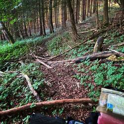 Kampf gegen die Naturgewalten