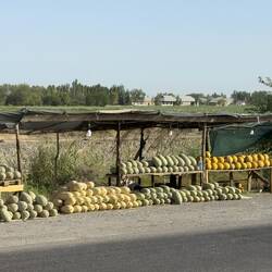 Die Melonenzeit ist angebrochen.