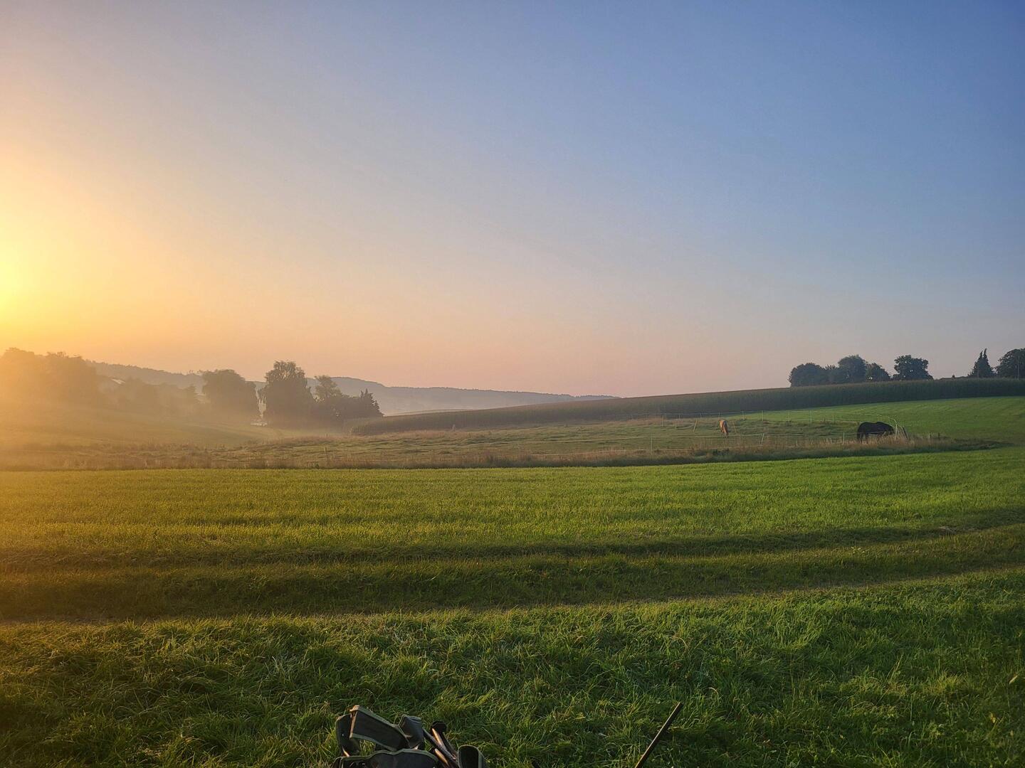Morgenstimmung