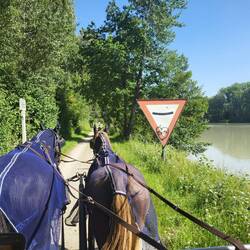 Ob das Schild wohl groß genug ist?