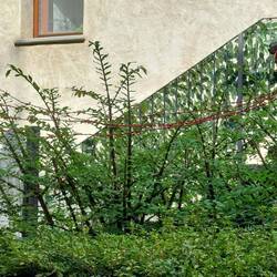 S. Battisti, G. Pizzini - Segnali di confine