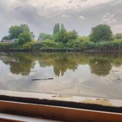 Blick aus dem Fenster: die Schelde, der Fluss begleitet uns friedlich und malerisch