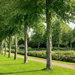 Park von Schloß Vallø