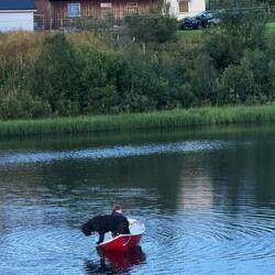 Es ist nur noch ein Schritt zu dir selbst...