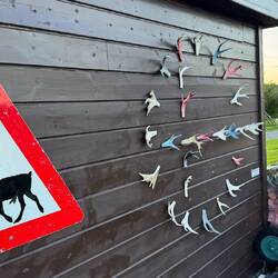 Wirklich schönes Sami-Symbol.