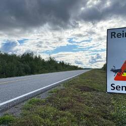 Einer fällt immer aus dem Rahmen.