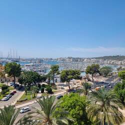 Blick auf den Hafen von Palma Stadt