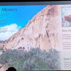 Cannonball Concretions