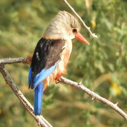 Nochmal was Schönes