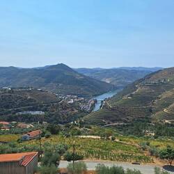 Miradouro above Pinhão