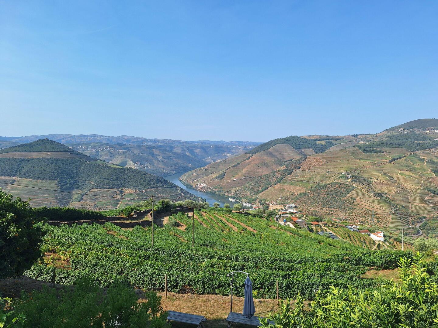 First stop - D'Origem near Pinhão for olive oil and wine tasting. Highly recommended to stop here!
